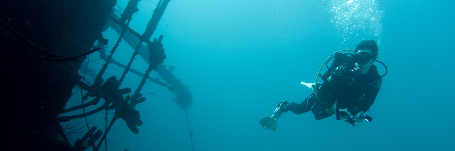 Steven Shearer banner