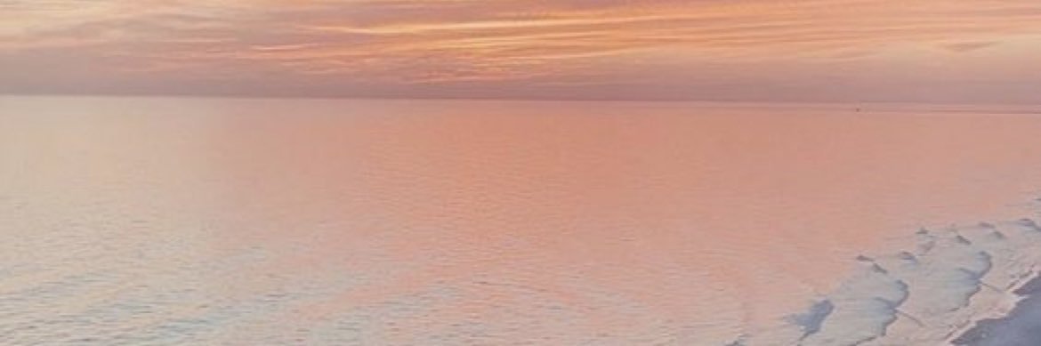 Kaylin Munro banner