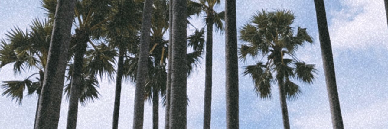 🌨 banner