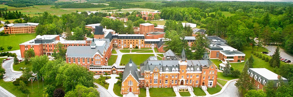 Bishop's Politics banner