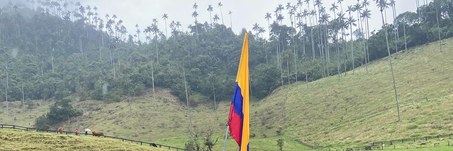 Profe Rodríguez banner