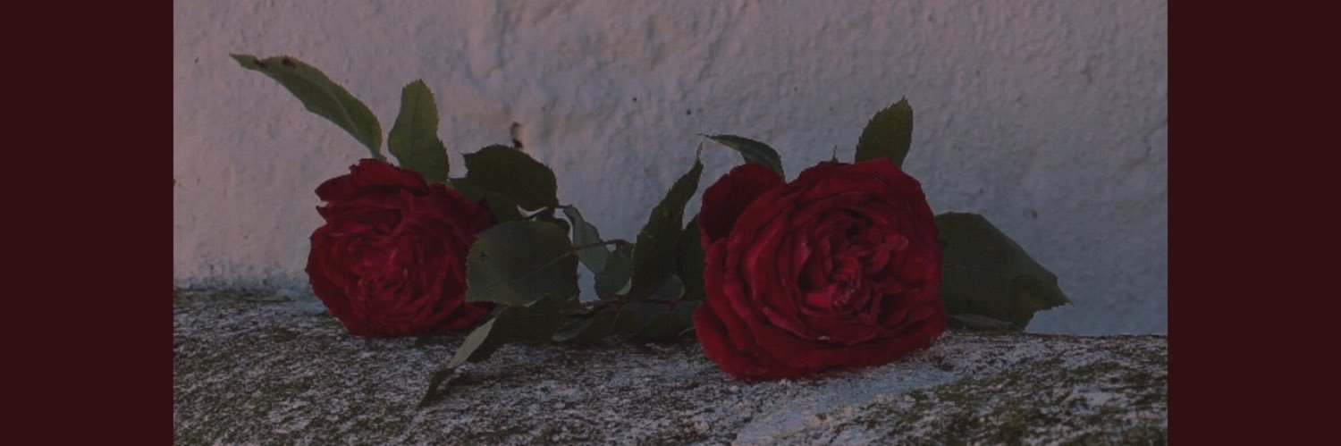 dosshirakk's profile banner image