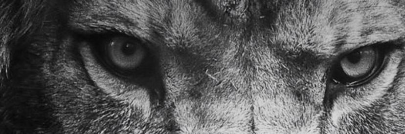 Morgan1904's profile banner image