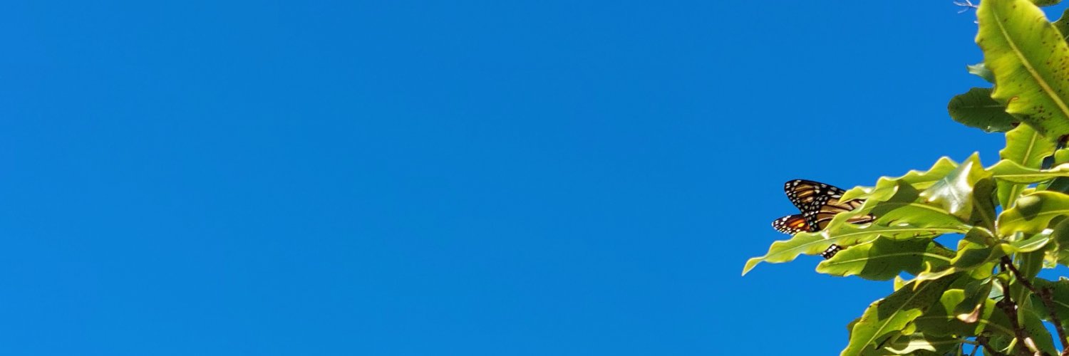 🌱newbrunette's banner