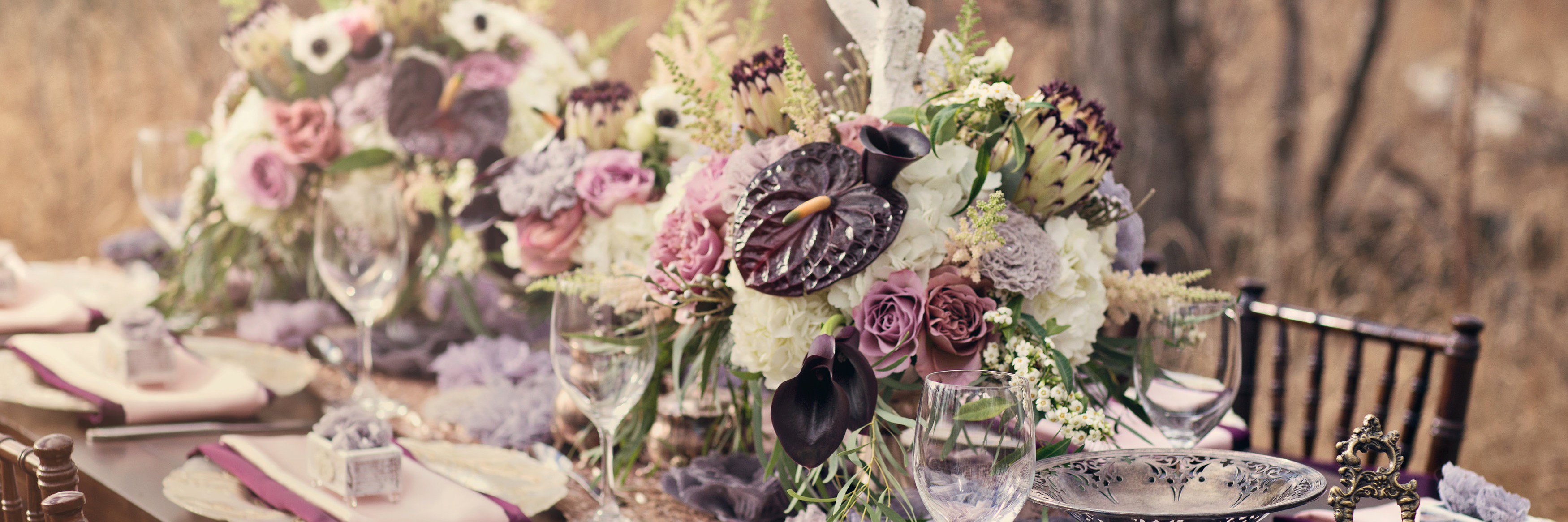 LaurelsOnWhyte's profile banner image
