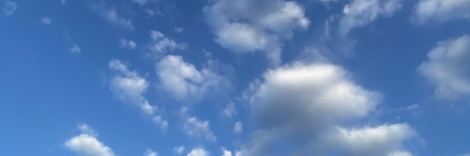 paligarridoo's profile banner image