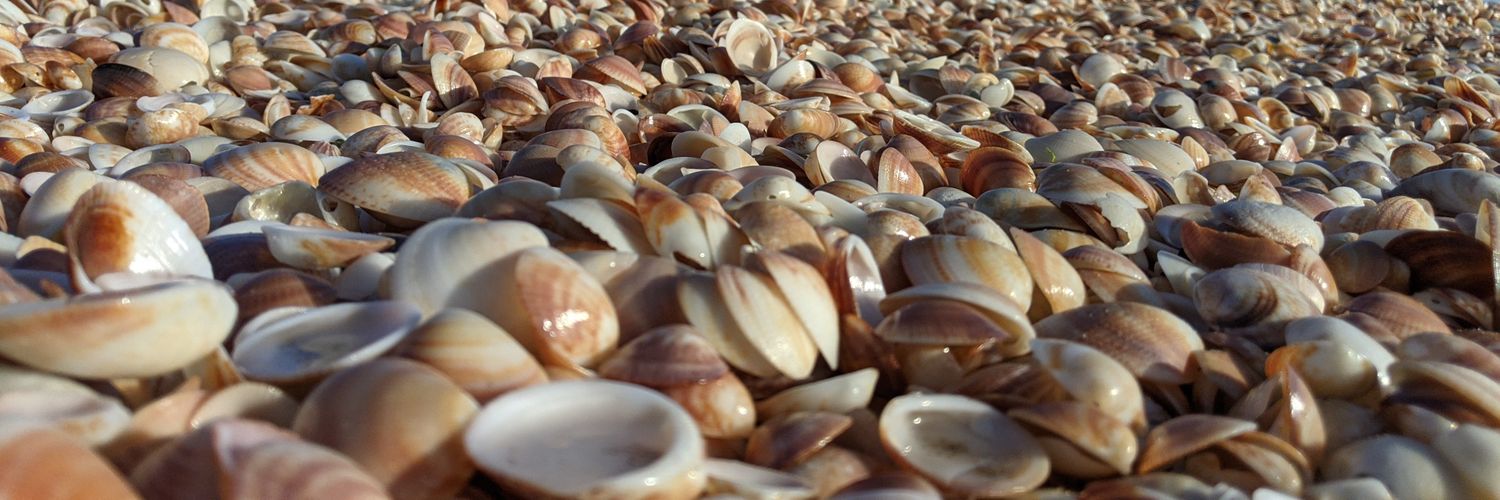 Washington Irwing banner