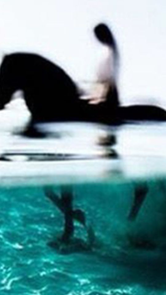 Chrissy_Camp's profile banner image