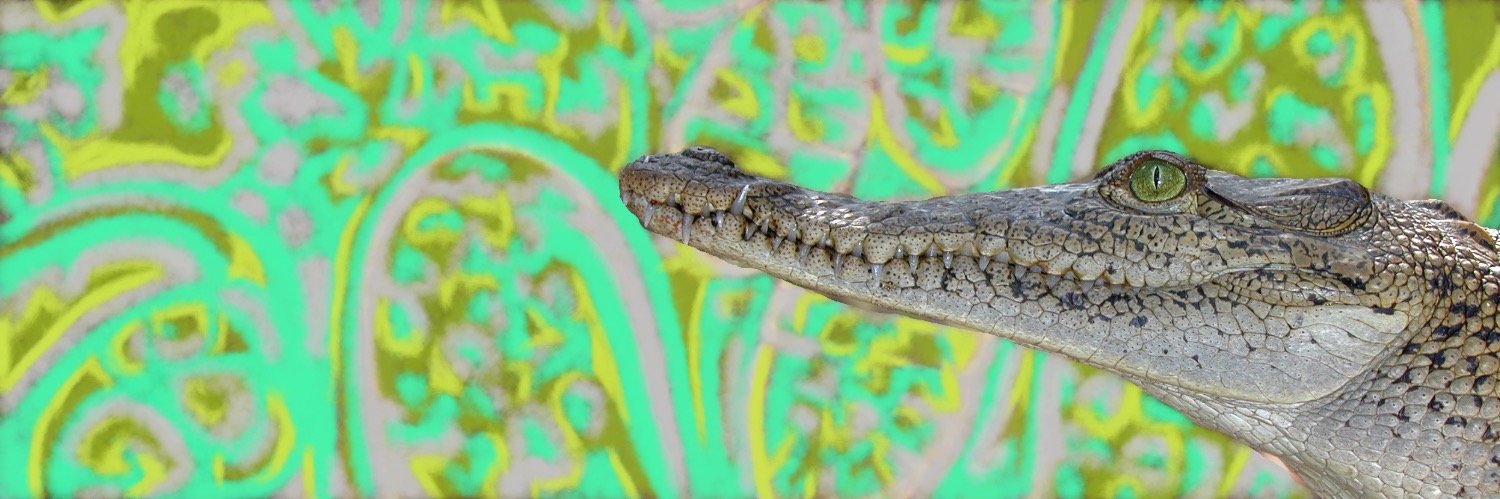 Integrative Organismal Biology banner