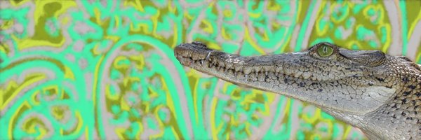 iobopen Profile Banner