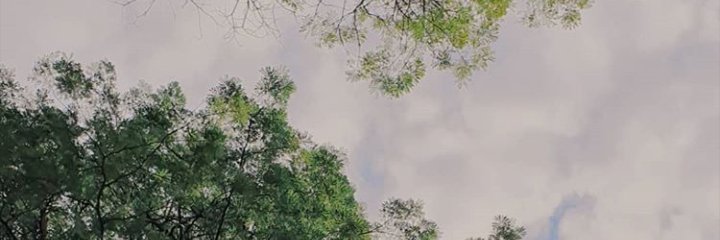 Adeais21's profile banner image