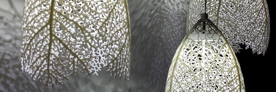 stephane pujol banner