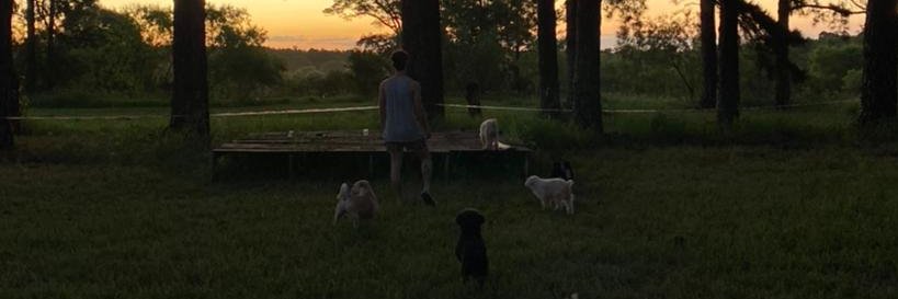 PrestaykoAxel's profile banner image