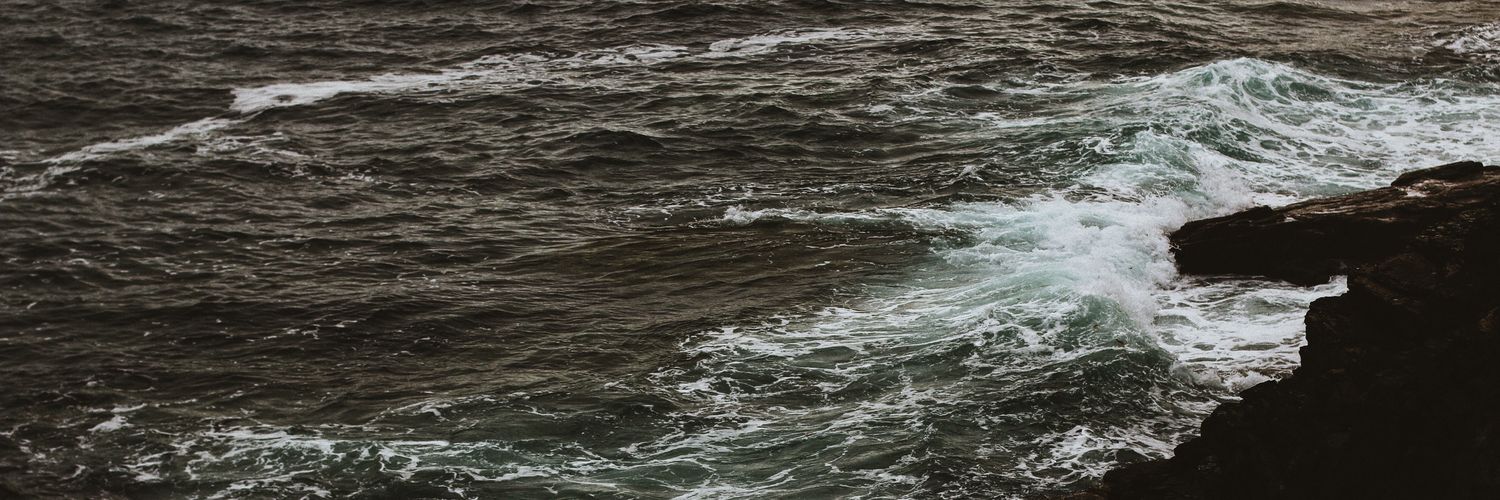 queenoflizards_'s profile banner image