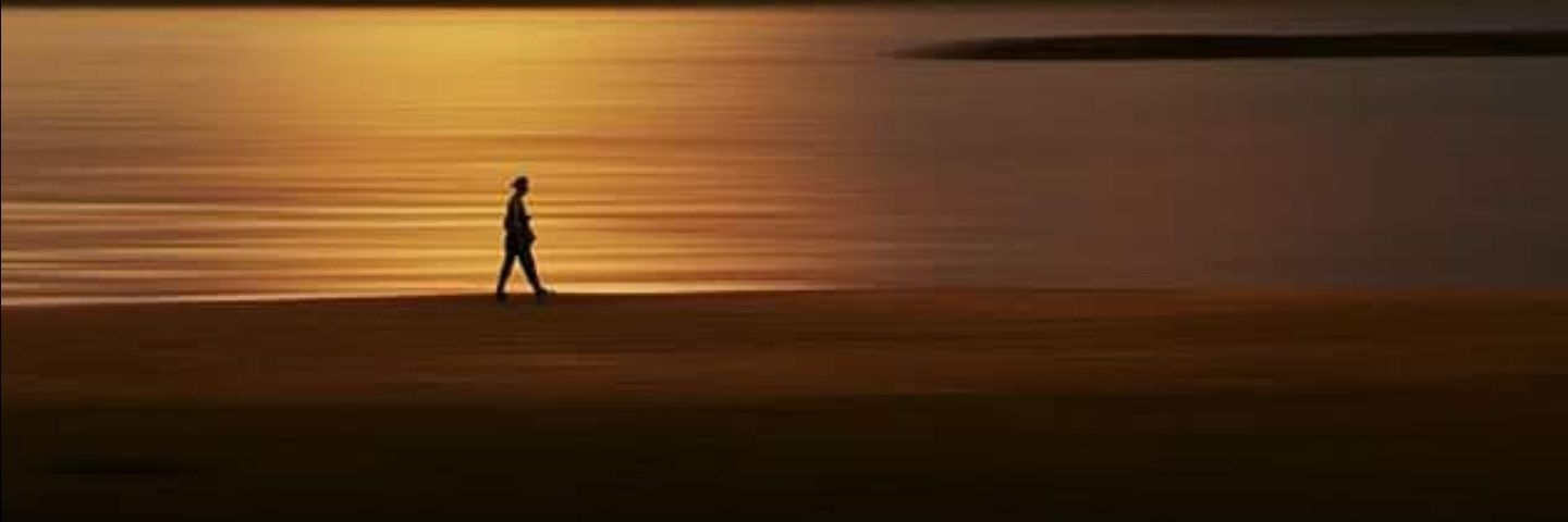 slionsheart's profile banner image