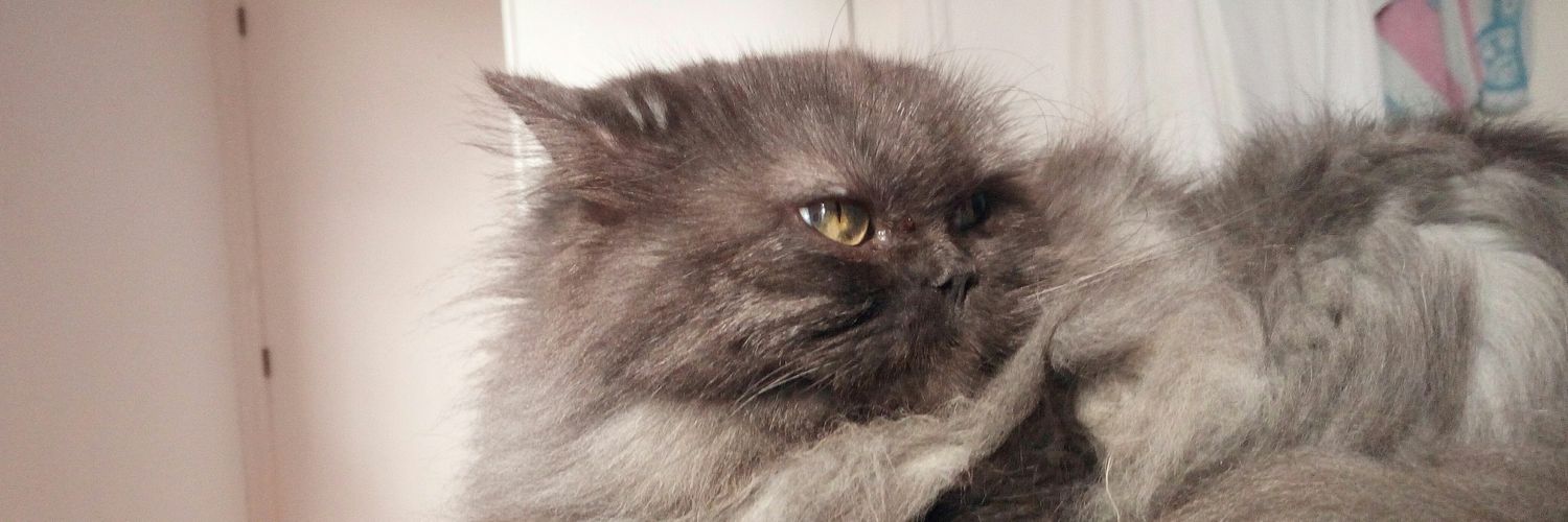 Guai da si rein banner