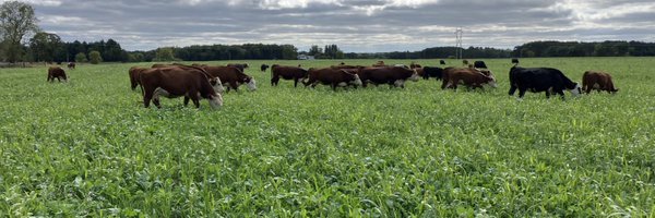 MattHintz3 Profile Banner