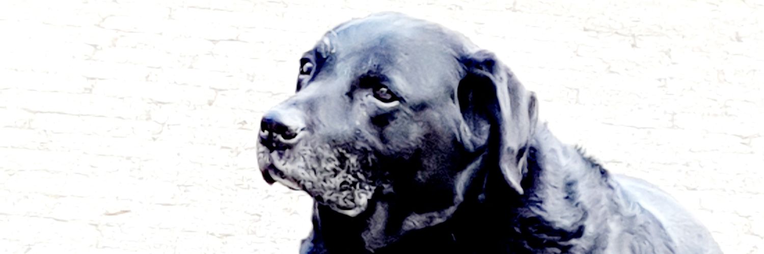 Tracey Hallmark banner