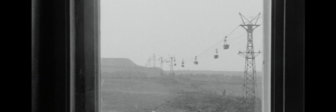 Vasco Martins Lobo banner