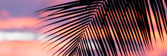 _AnaisVT's profile banner image