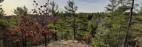 JananiSivarajah Profile Banner