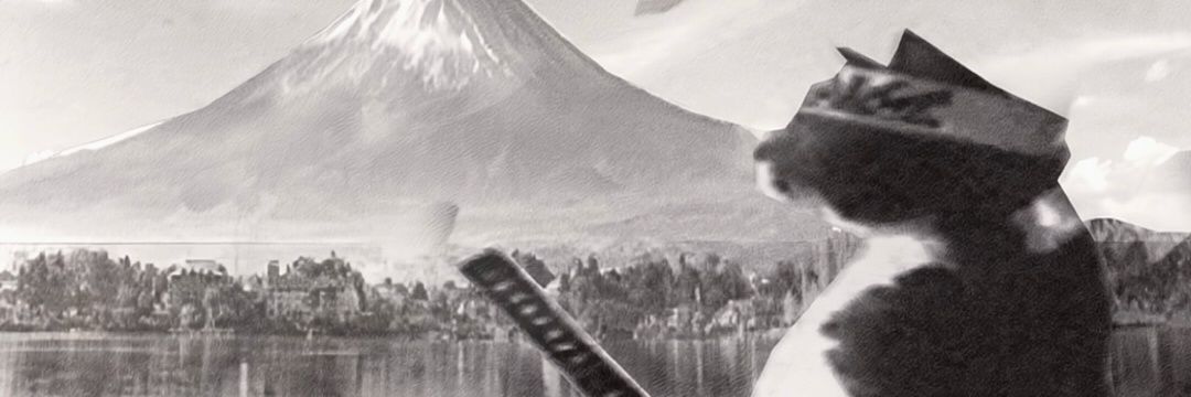 3Anao's profile banner image