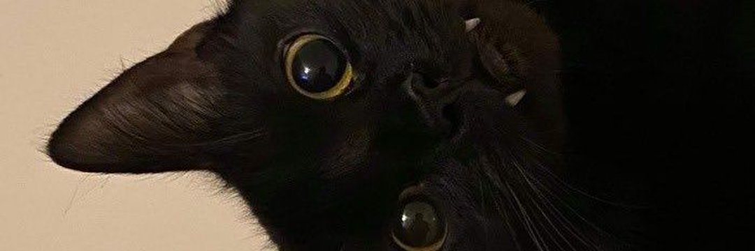 Daddylici0s's profile banner image