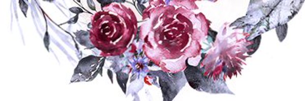 mtmctours Profile Banner