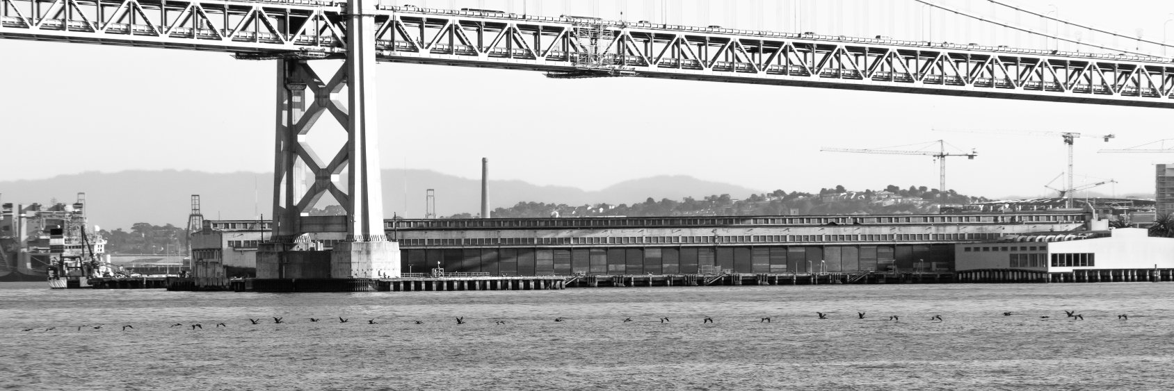 Mellow out or you will pay. banner