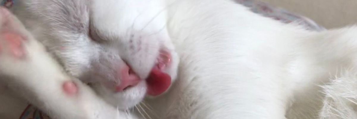 dudataube's profile banner image
