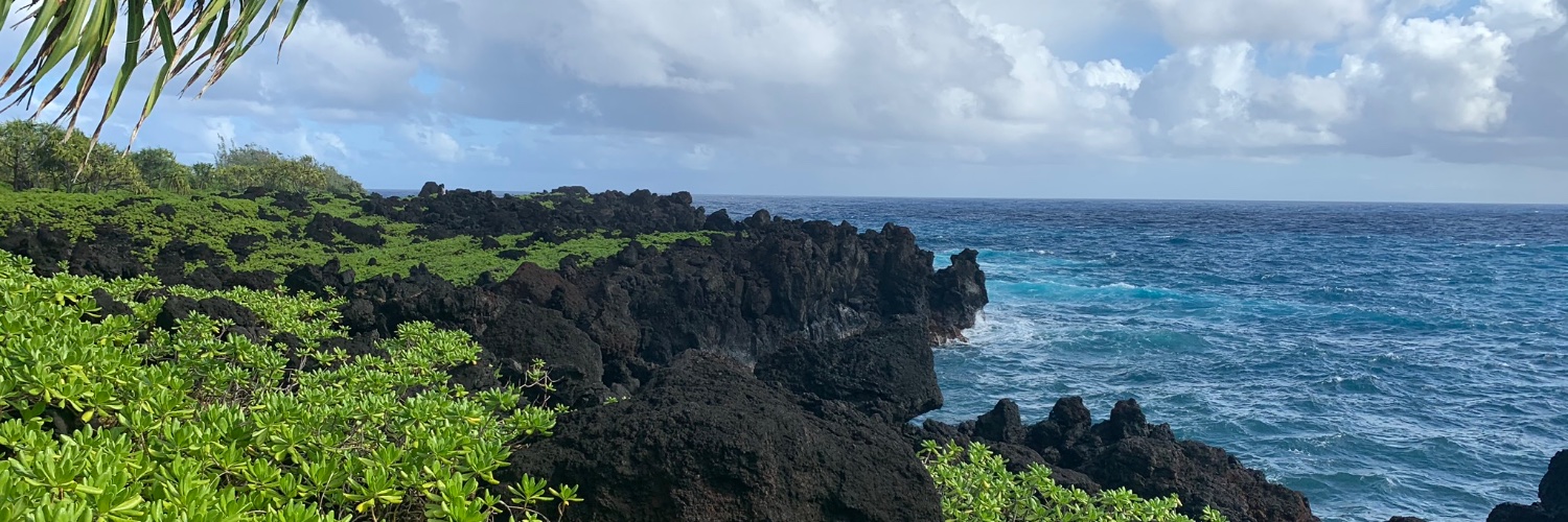 Dakota Thompson, MD banner