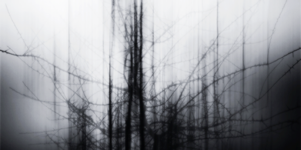 Harry_Faschion's profile banner image