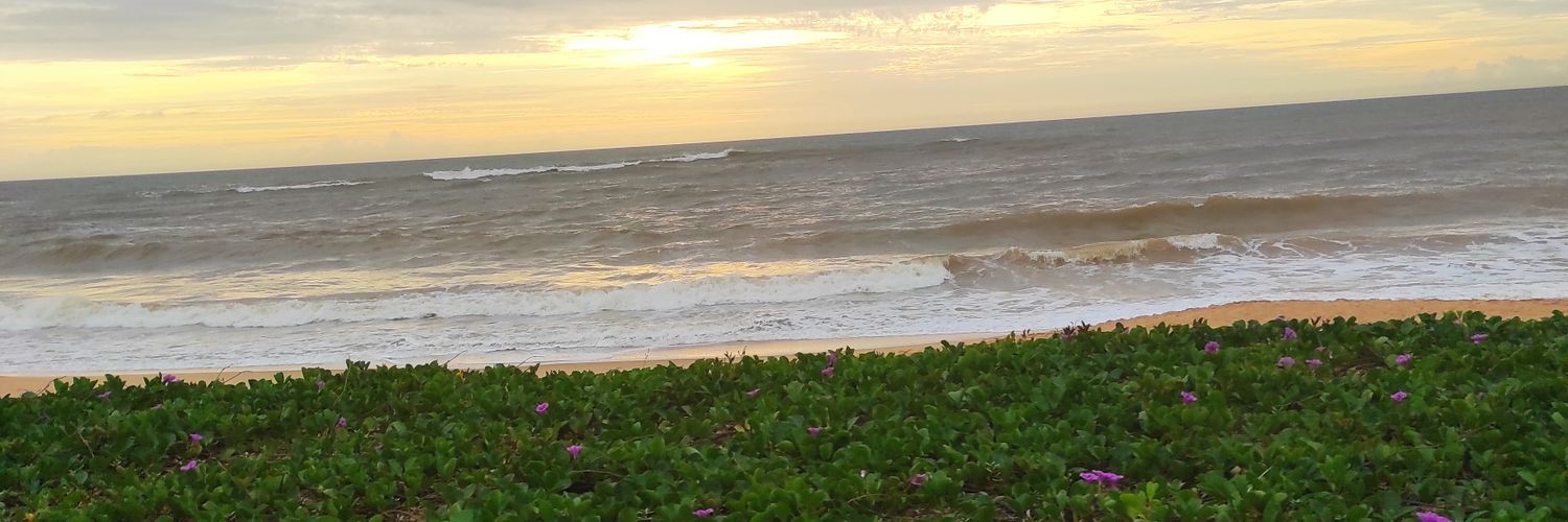 pedroags's profile banner image
