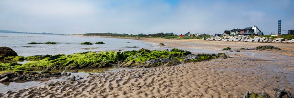 Fingalcoco Profile Banner
