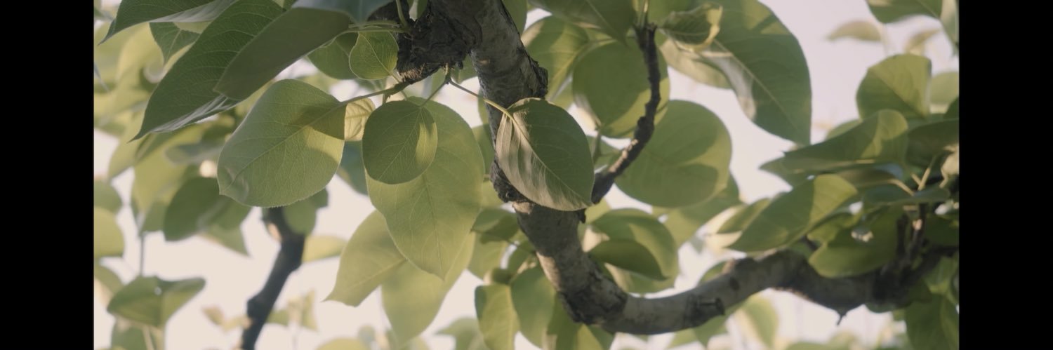 DelveintoDef's profile banner image