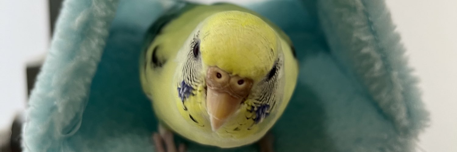 あんこチャン banner