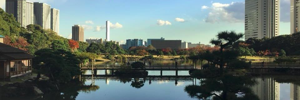 jmlipman's profile banner image