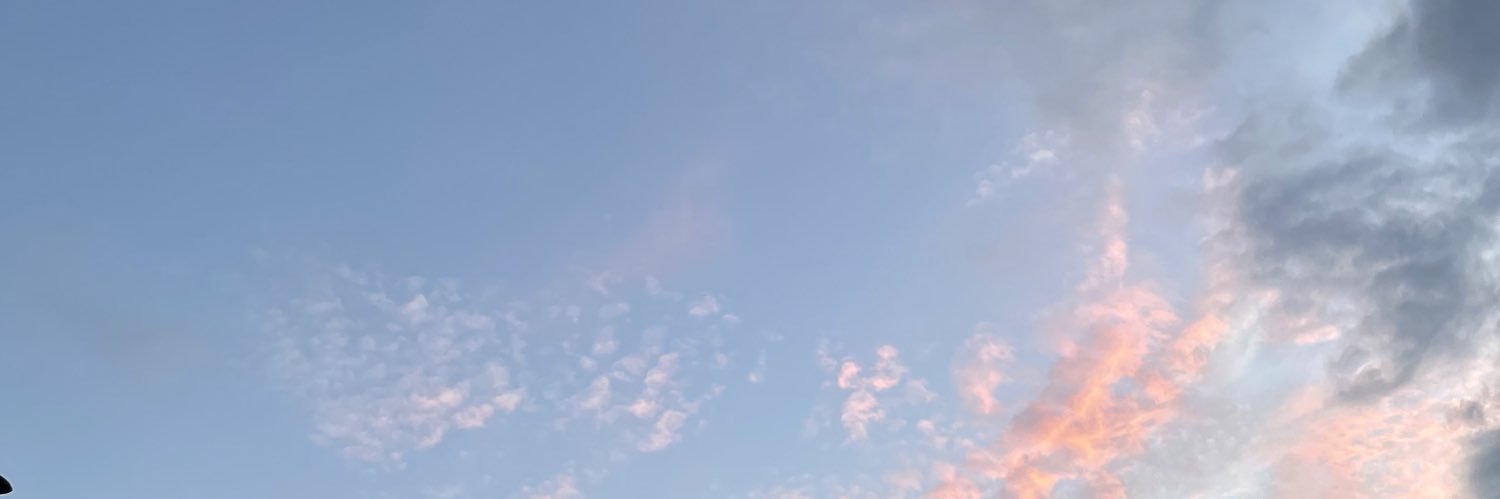 Caroline Schlüter banner