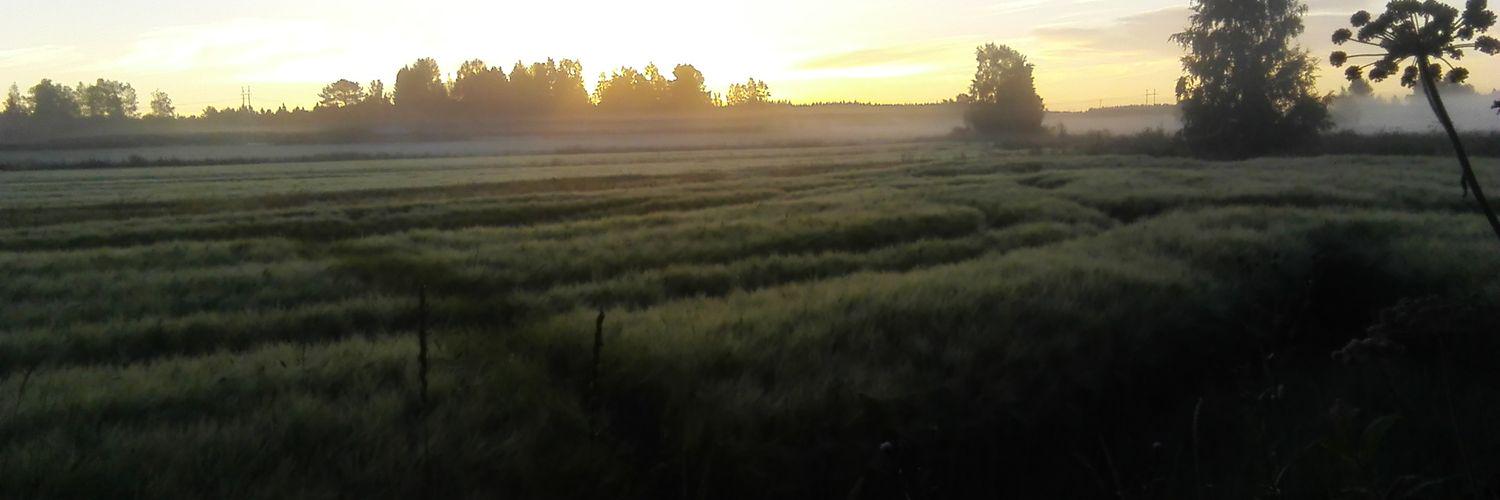 AimoMerilainen's profile banner image