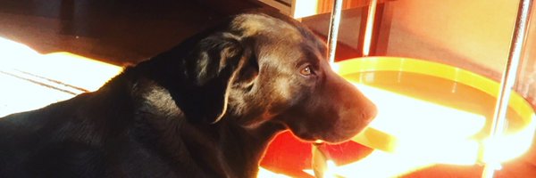 wardmarkey Profile Banner