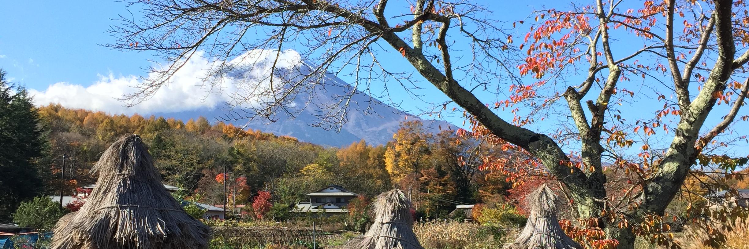 Hiro_Ok's profile banner image