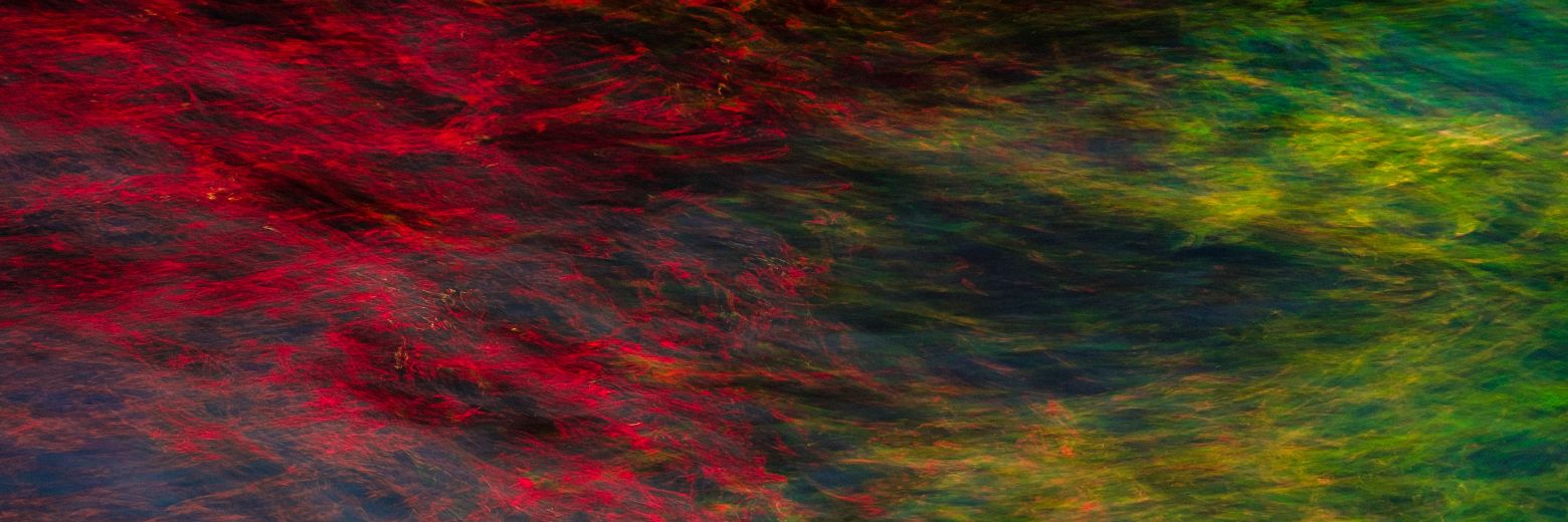 shoumiksidhya's profile banner image