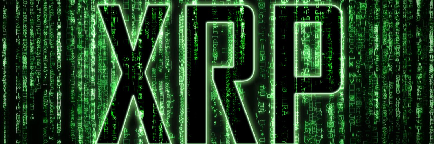 乂尺卩 爪卂ㄒ尺丨乂 banner