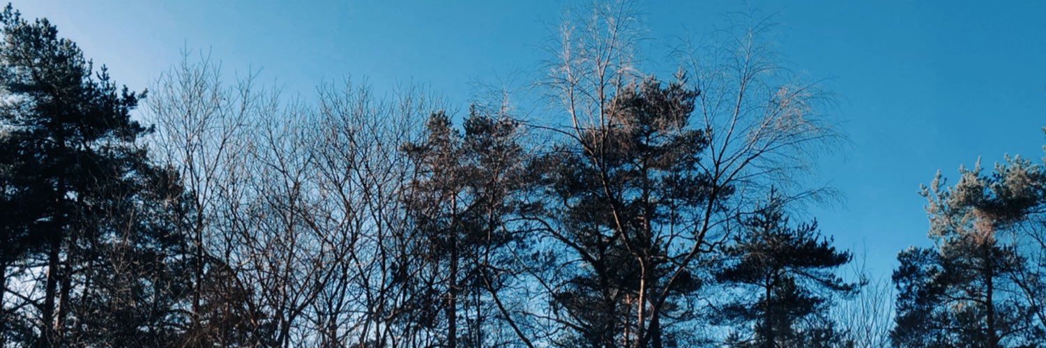 amberclx's profile banner image
