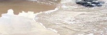 capernoite's profile banner image