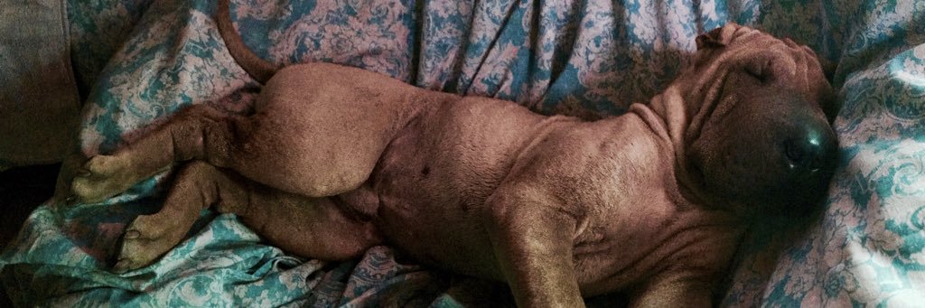 Giovanni Bianco banner