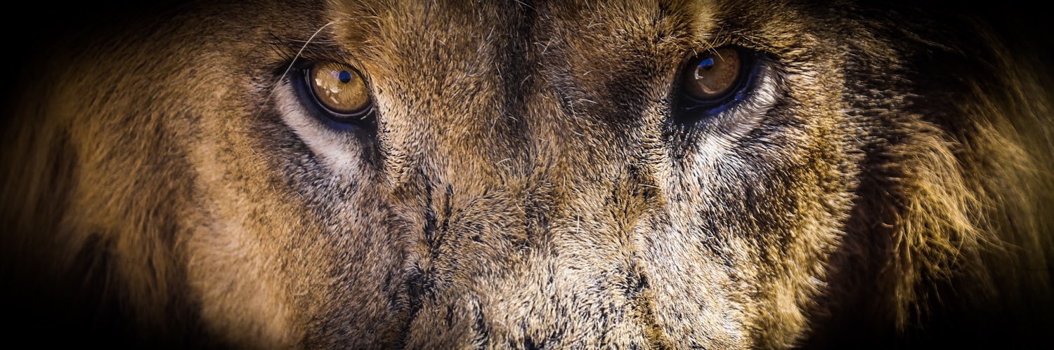 alejandro14247's profile banner image