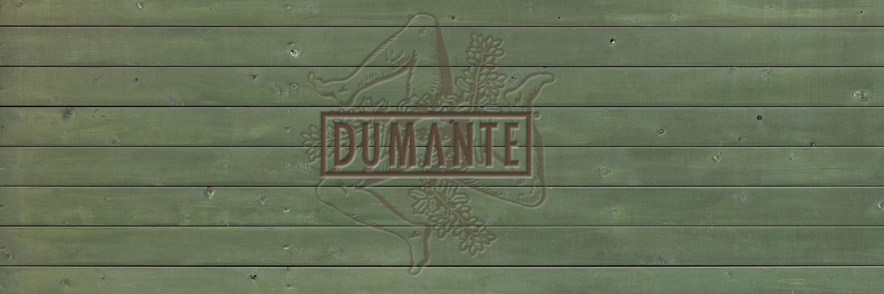 Dumante's profile banner image