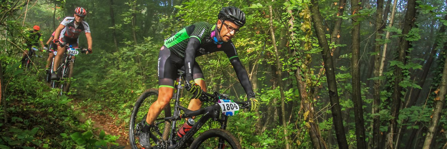 Andrea Ceriolo banner