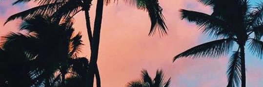 Amiera banner